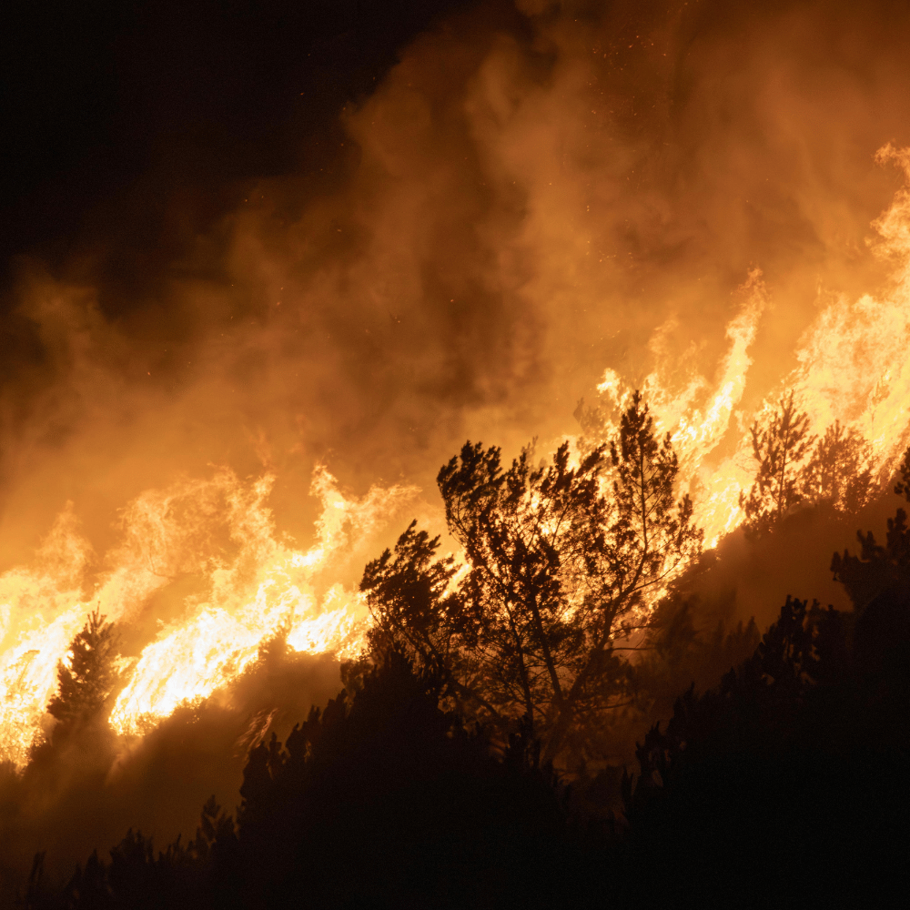 Planning for wildfire safety with Ember Stopper